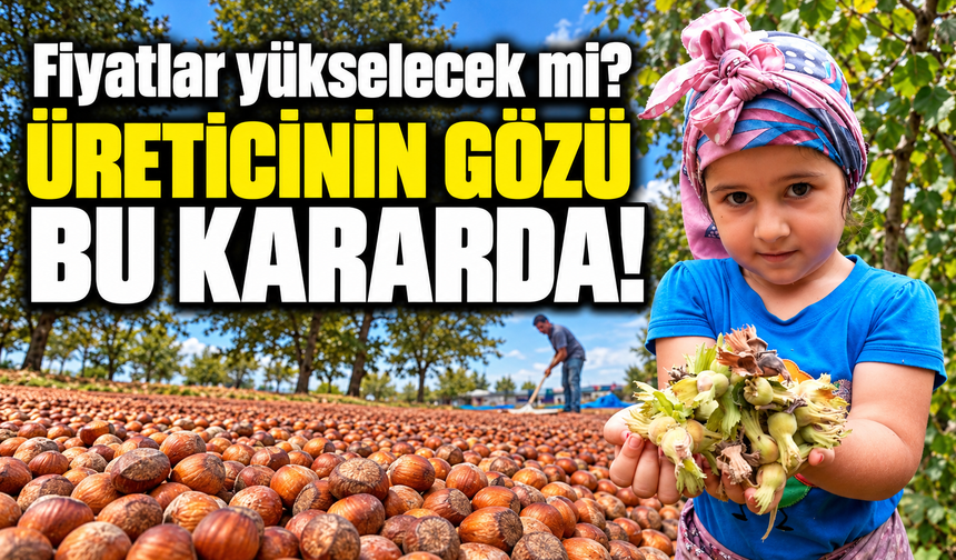 TMO'dan Fındık Üreticisini İlgilendiren Karar! Mustafa Bekar Fiyatlar İçin Beklentisini Açıkladı