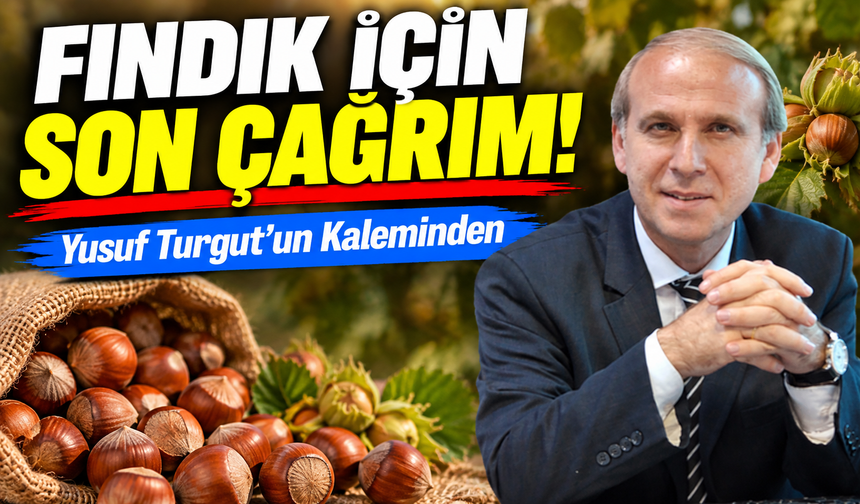 Fındık İçin Son Çağrım!