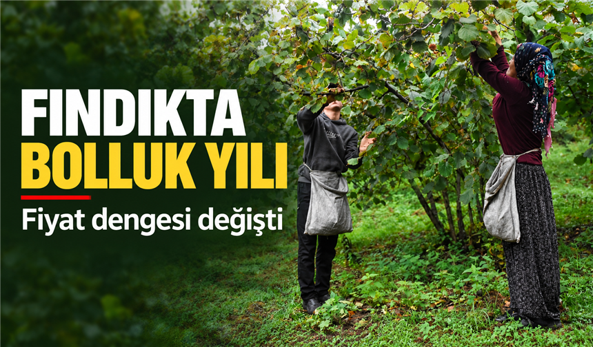 KARADENİZ’DE KABUKLU FINDIK REKOLTESİ FİYATLARI GERİLETTİ