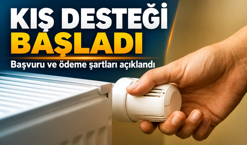 Enerji faturalarına devlet desteği: Başvuru ve ödeme rehberi
