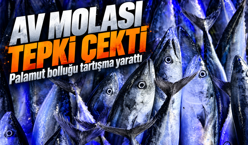 Palamut Bolluğunda Av Molası Çağrısı Tepki Çekti, Birlik Açıklama Yaptı