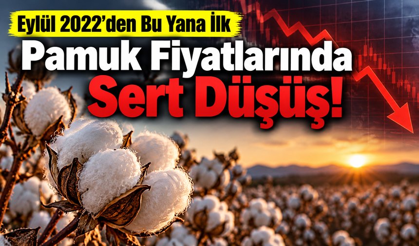Pamuk Fiyatlarında Sert Düşüş: Eylül 2022’den Bu Yana İlk