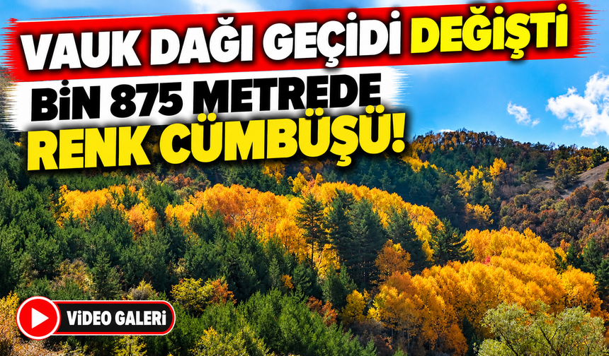 Vauk Dağı Geçidi Sonbaharın Renklerine Büründü
