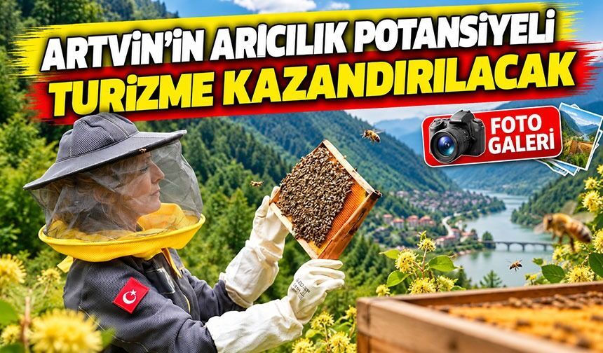 Artvin’in Arıcılık Potansiyeli Turizme Kazandırılacak: Yeni Rotalar Belirleniyor