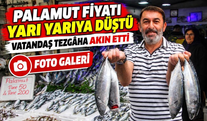 Palamut Fiyatı Yarı Yarıya Düştü: Vatandaş Tezgâha Akın Etti