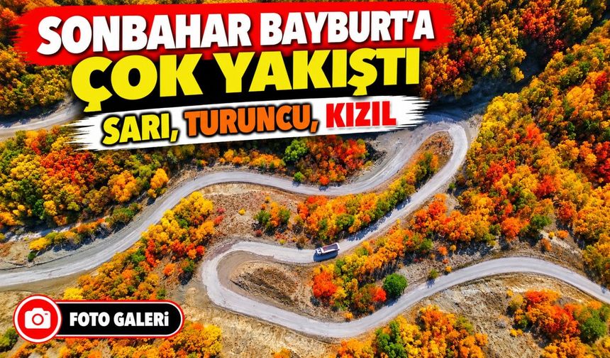 Bayburt Ormanlarında Hazan Renkleri Kartpostallık Görüntüler Oluşturdu