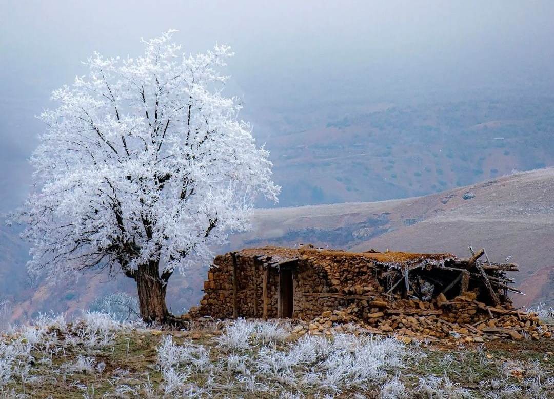 Günün Fotoğrafi-1