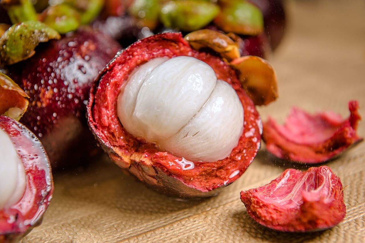 100 Natural Purple Mangosteen Fruit Powder