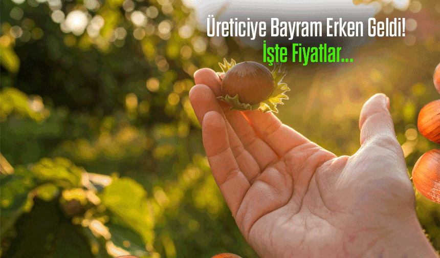 Fındıkta Bugün Rekor Rakamlar! Güncel Fiyat Listesi Açıklandı!