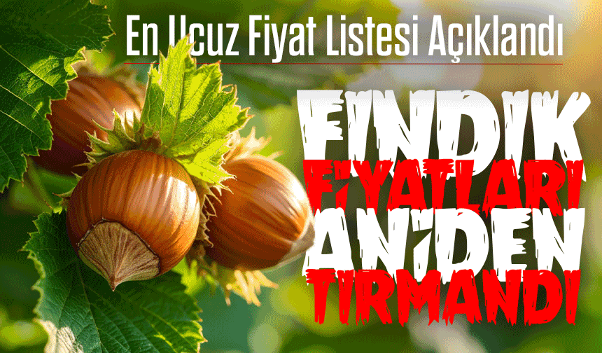 Karadeniz'de Fındık Fiyatları Patladı: En Ucuz ve En Pahalı Hangi İl?
