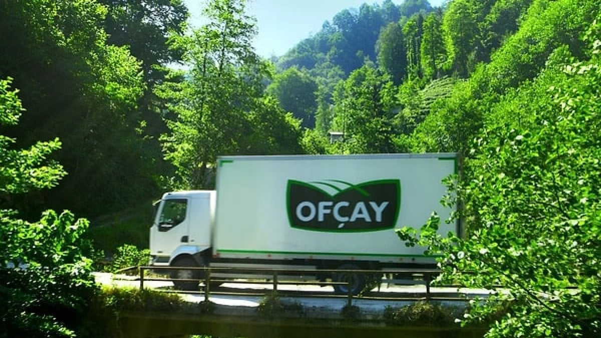 Ofcay