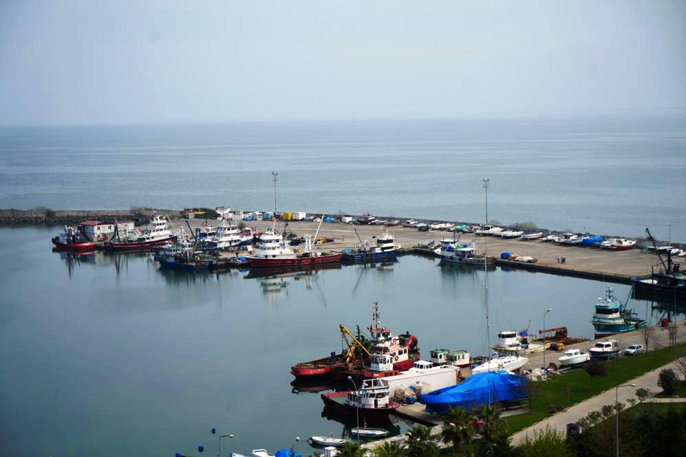 A W507494 01