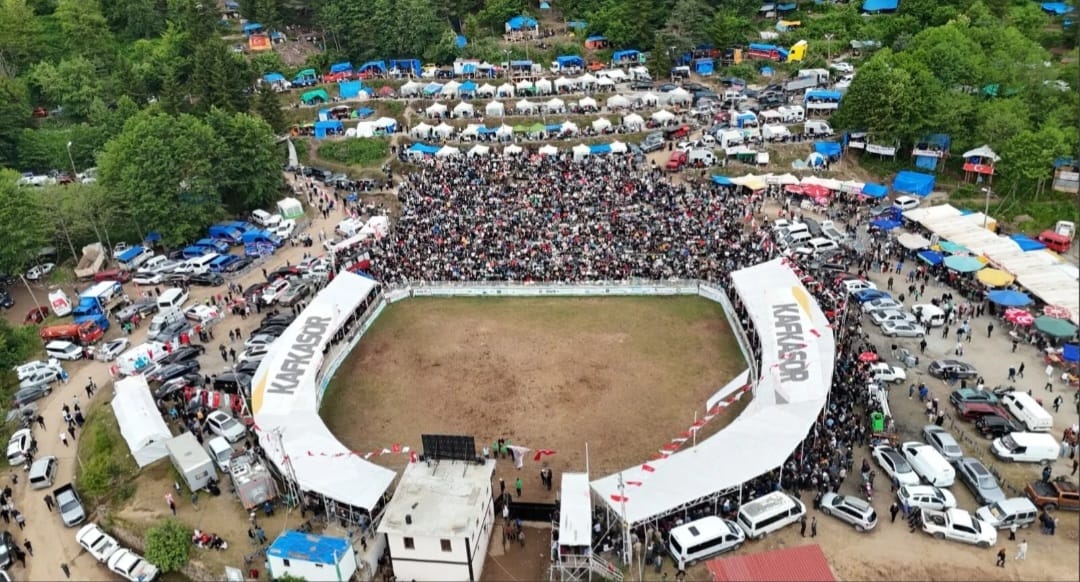Festivalll-1