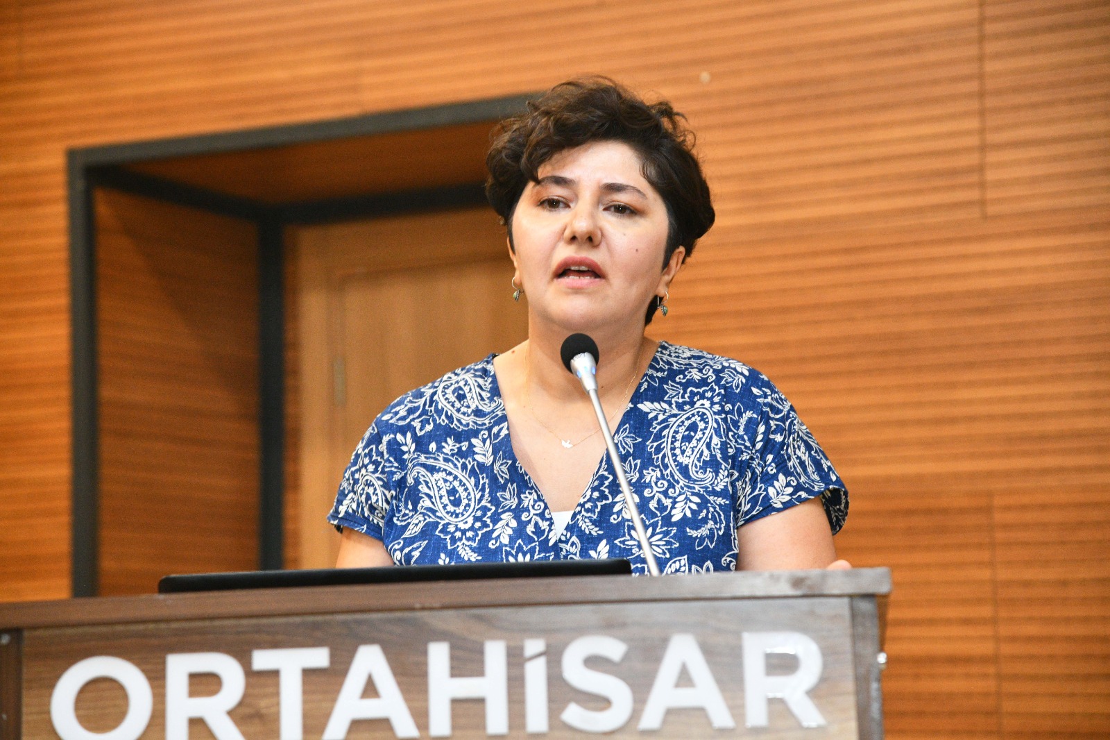 Ortahisar (6)-1