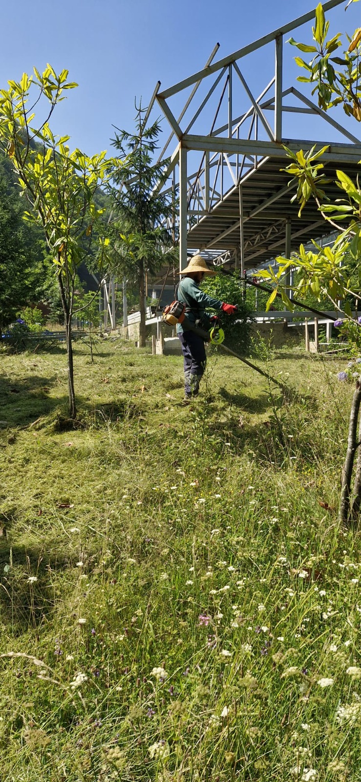 Bu veriler, belediyenin yeşil alanlara verdiği önemi net şekilde ortaya koyuyor. Bitkilerin sadece dikilmesiyle değil, aynı zamanda düzenli bakımıyla da ilgilenen ekipler, kalıcı ve sürdürülebilir bir şehir estetiği hedefliyor.