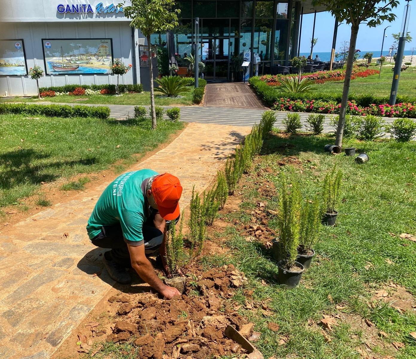 Trabzon Büyükşehir’den Park ve Yeşil Alanlara Estetik Dokunuş