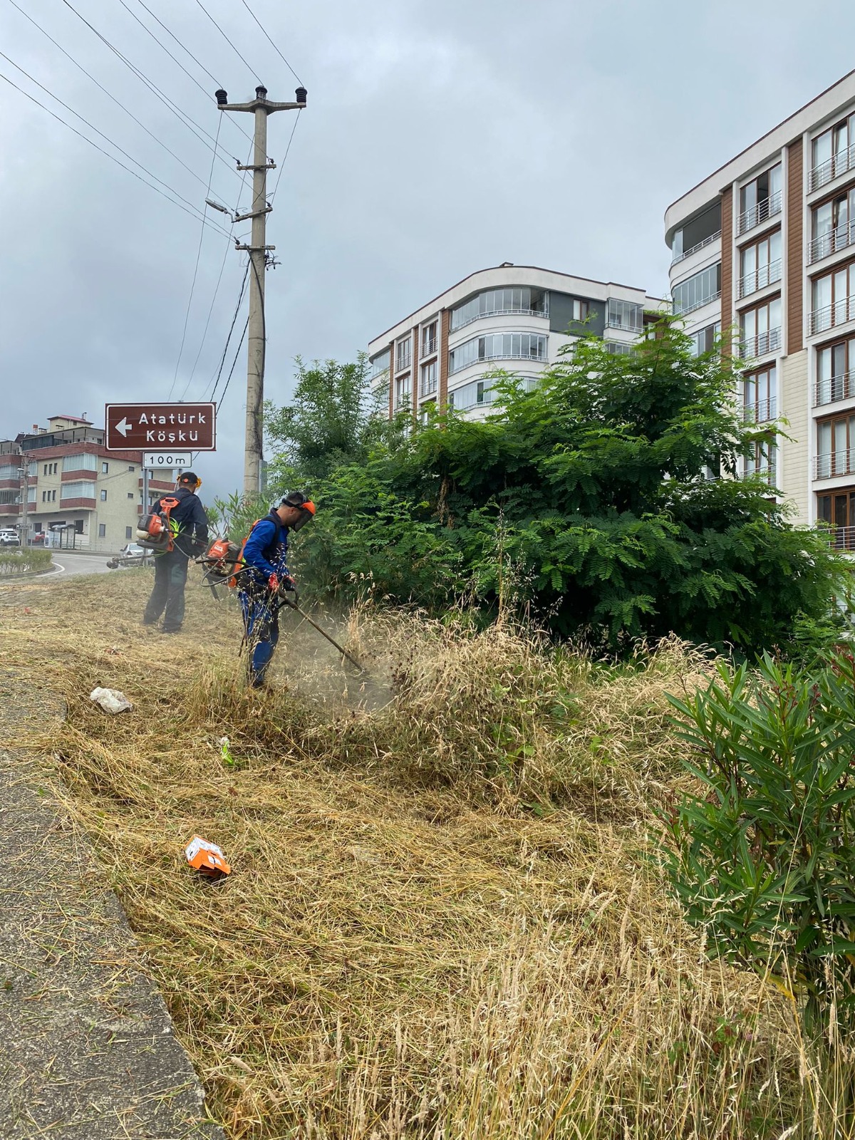Trabzon Büyükşehir’den Park ve Yeşil Alanlara Estetik Dokunuş