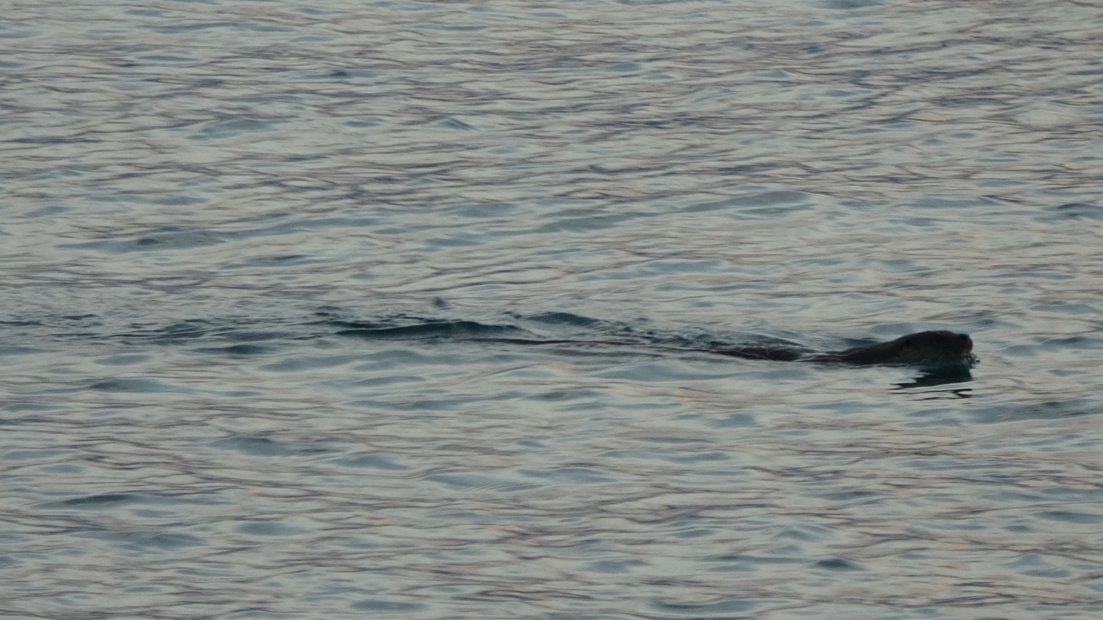 A W521856 01