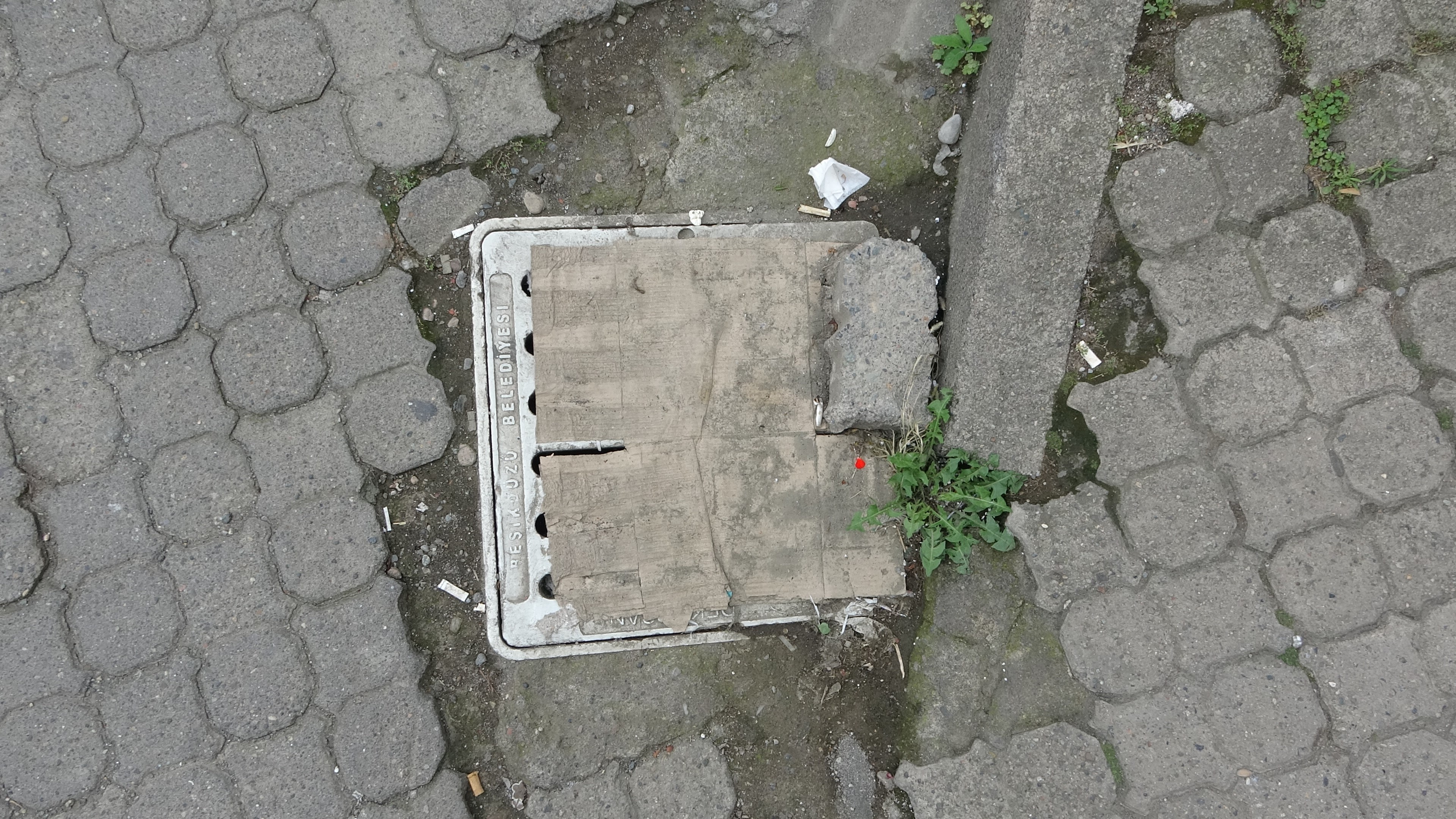 A W526167 03