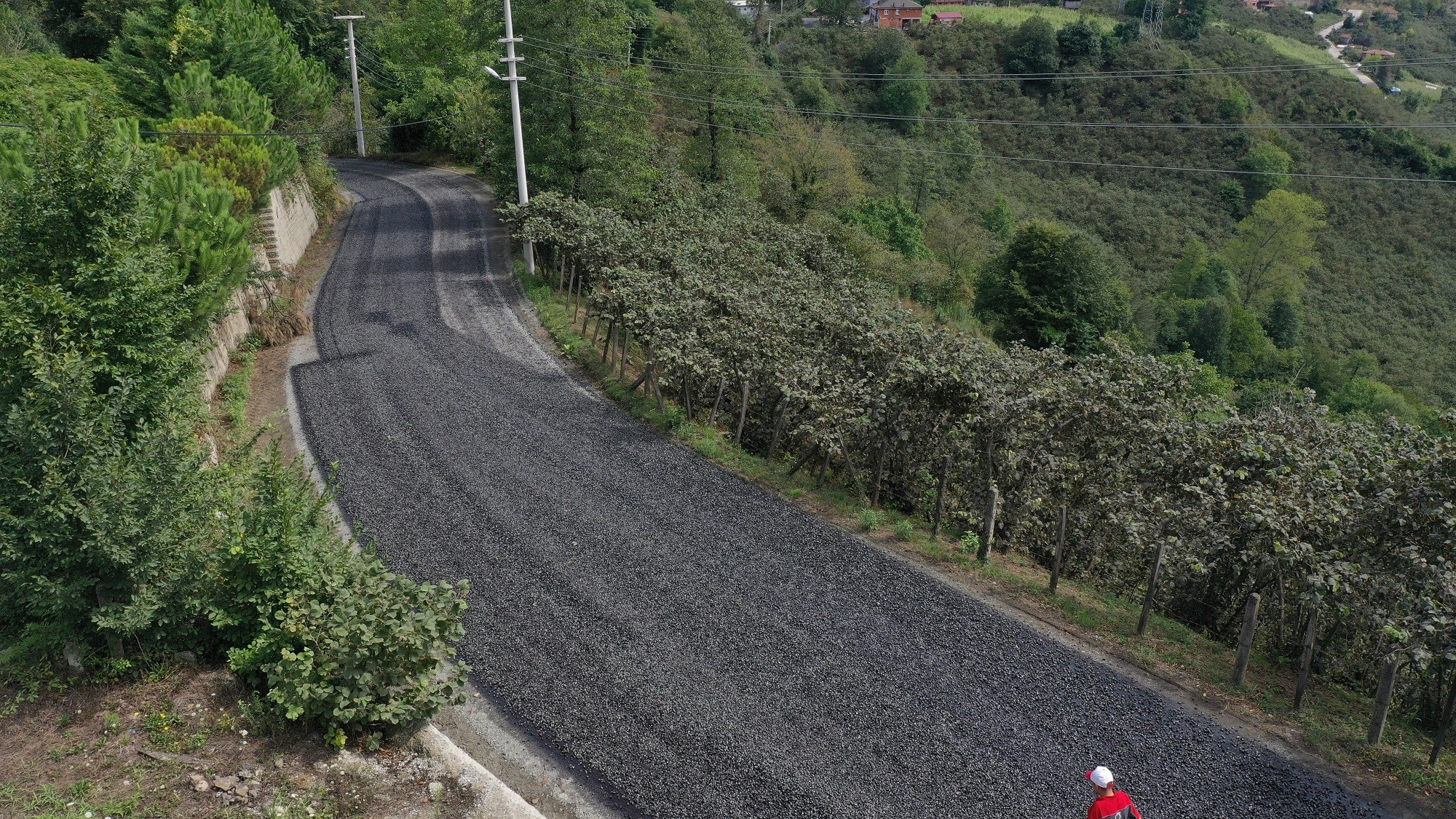 Ordu (1)