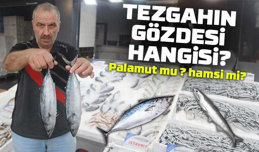 Tezgâhların Gözdesi Hamsi Oldu: Palamut Az, Fiyatlar Yüksek