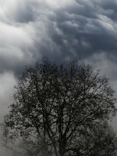 Trabzon Bugün Hava Nasıl İlçe İlçe Kar ve Sıcaklık Nasıl?