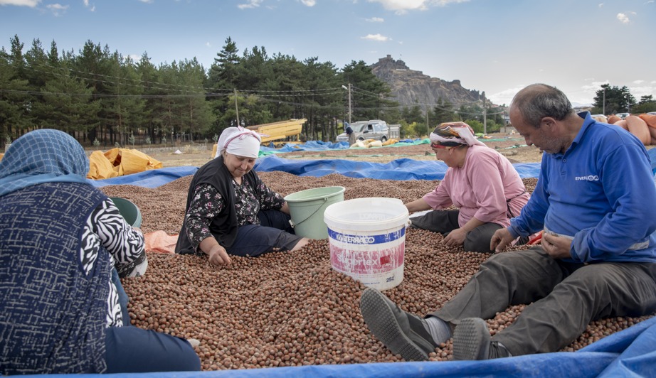 Şebinkarahisar 2