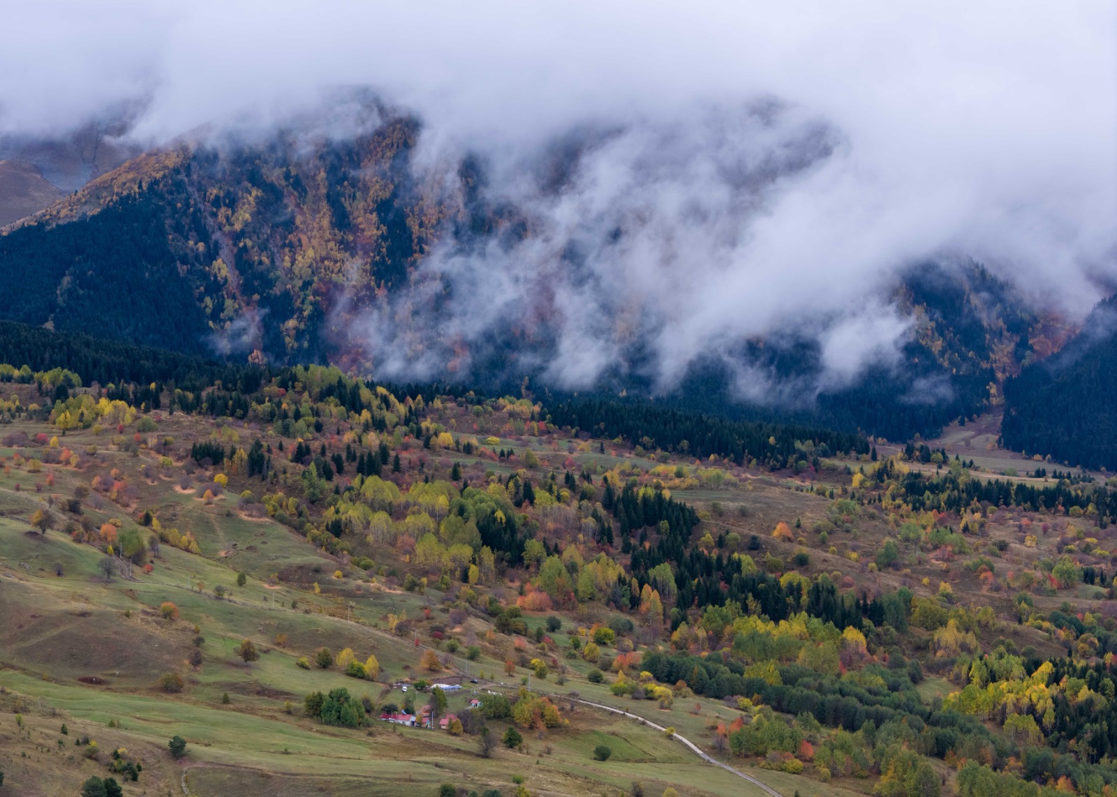 Sonbaharın Tüm Renkleriyle Büyülüyor: “Sakin Şehir” Şavşat'ta Görsel Şölen