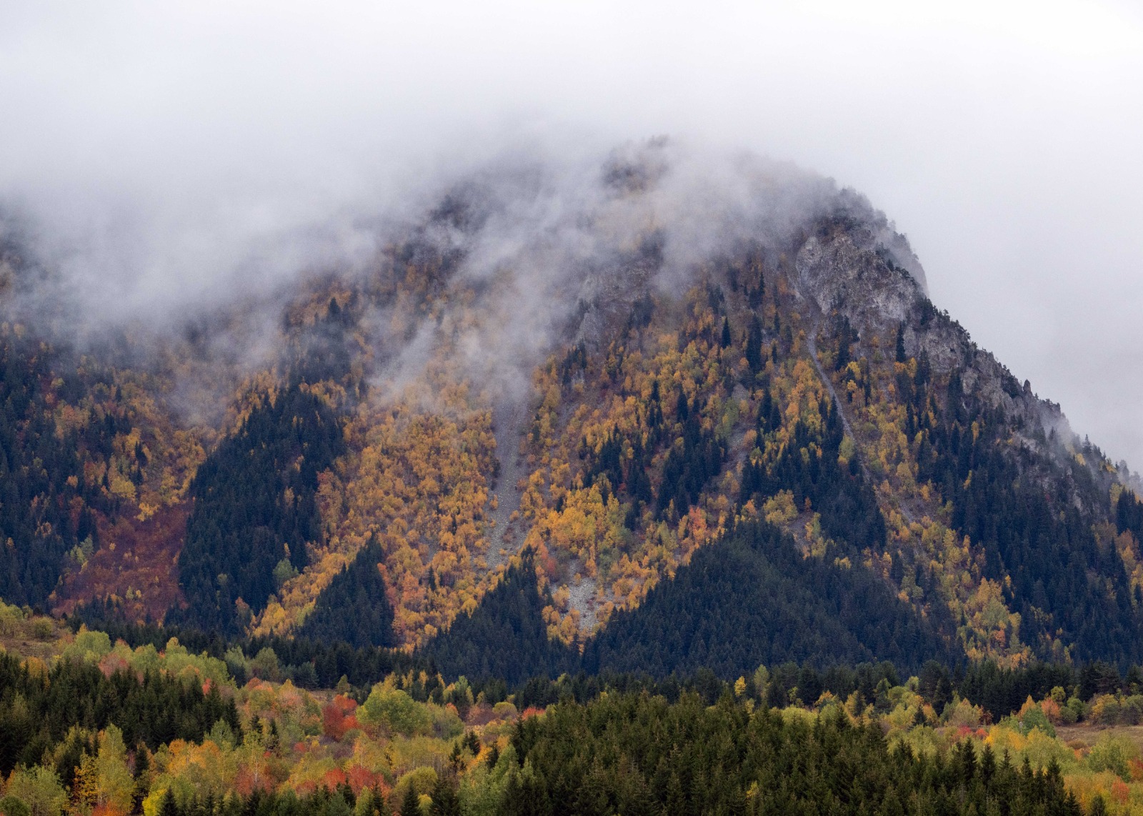 Sonbaharın Tüm Renkleriyle Büyülüyor: “Sakin Şehir” Şavşat'ta Görsel Şölen