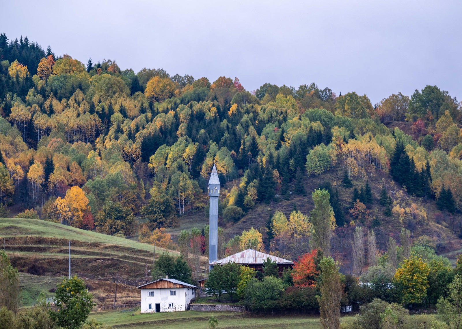 Ekoturizmle keşfedilen saklı güzellikler
Bölgede uzun yıllardır doğa ve ekoturizm turları düzenleyen turizm rehberi Alp Demirkaya, “Şu an Şavşat'ta sonbaharın en güzel zamanlarını yaşıyoruz. Doğanın kendini bu kadar net ifade ettiği çok az yer var. Bazen konuşmaya bile gerek kalmıyor,” diyerek bölgenin doğal zenginliğine vurgu yaptı.