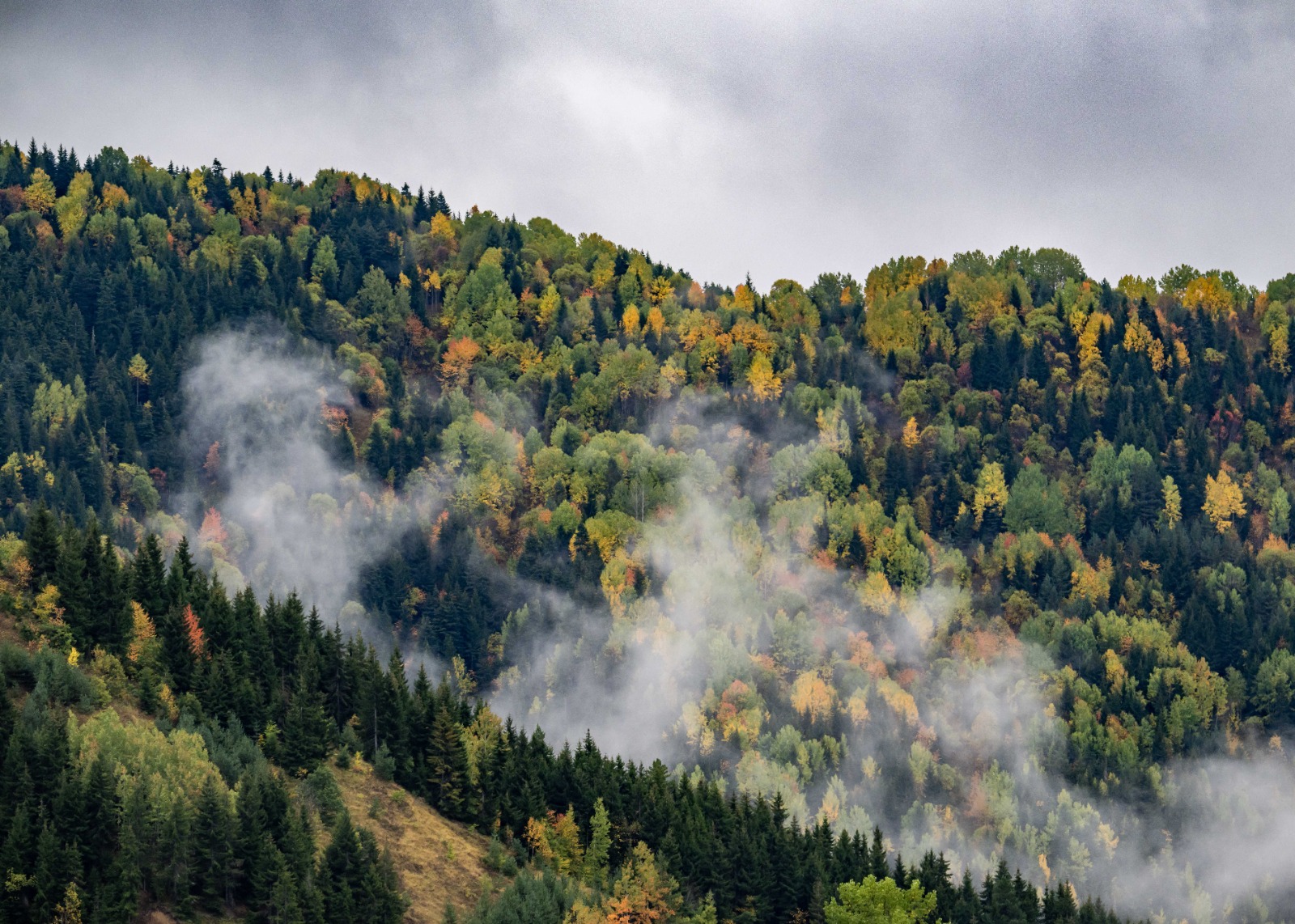 Mayıs ayında başlayan yayla sezonunun ardından şimdi sonbahar turlarının hareketlendiğini aktaran Demirkaya, yerli ve yabancı misafirlerin bölgeye hayran kaldığını belirtiyor. “Şavşat’ta 65 köy var. Her biri kendine has özellikleriyle öne çıkıyor. Biz rehberler olarak misafirlerimizi sadece bilinen değil, az kişinin ayak bastığı yerlere de götürüyoruz. Bu coğrafya sadece doğasıyla değil, insanıyla da çok özel,” diyor.