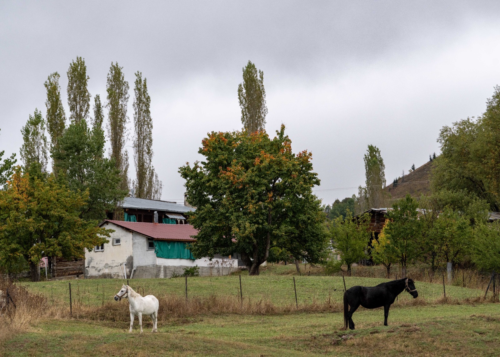 Pınarlı köyü başta olmak üzere, ilçeye bağlı yaylalar ve vadilerde doğayla baş başa kalmak mümkün. Bazı noktalarda ziyaretçiler aynı anda hem sonbaharı hem de kışın izlerini görebiliyor. Bu da Şavşat’ı yılın bu zamanında benzersiz kılıyor.