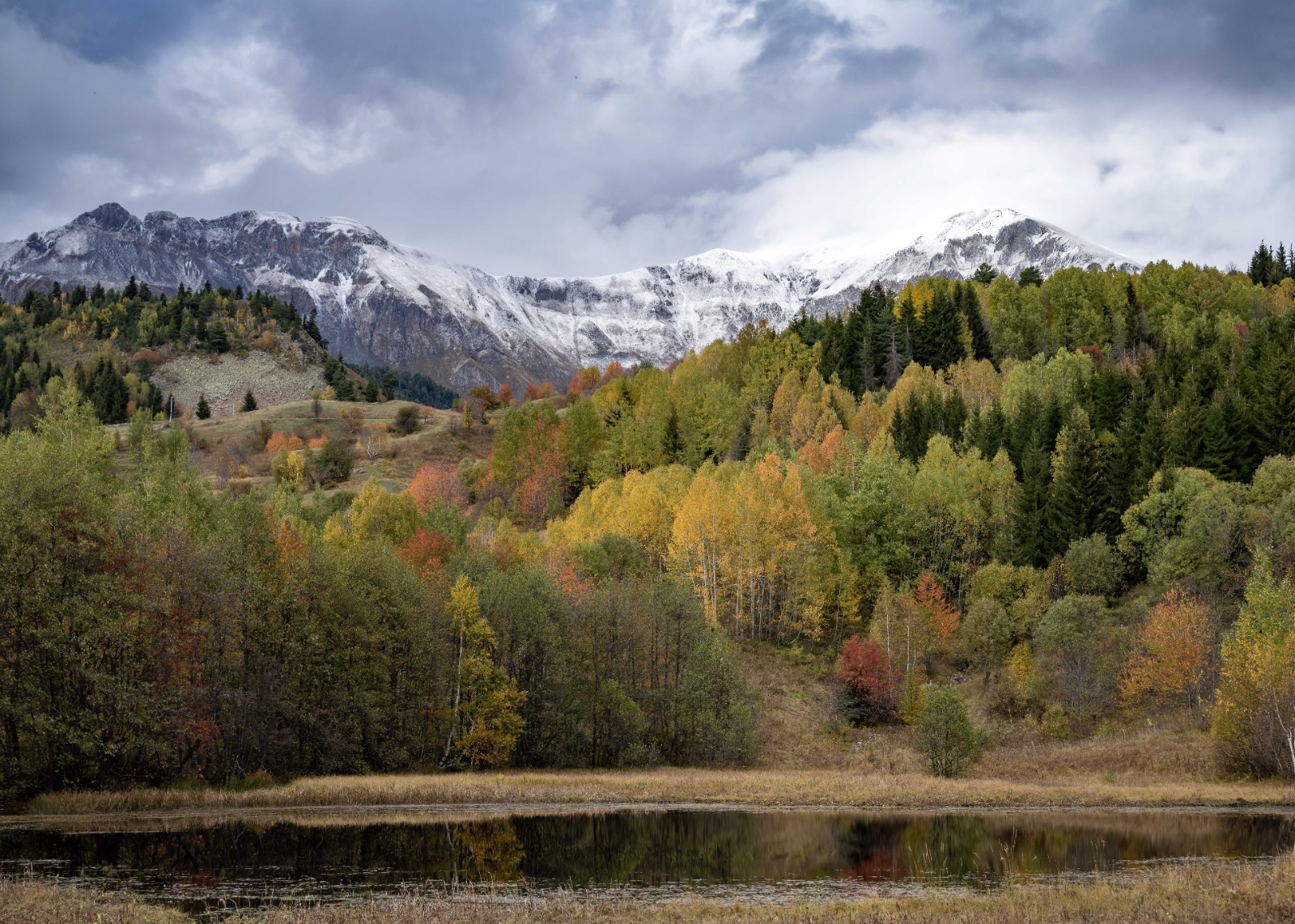 Karadeniz’in doğusunda, Artvin’in Ardahan sınırındaki saklı cenneti Şavşat, yılın en büyüleyici dönemine girdi. Cittaslow (Sakin Şehir) ağına dâhil olan ilçe, özellikle sonbahar aylarında doğanın tüm renklerini sergileyen bir tabloya dönüşüyor.