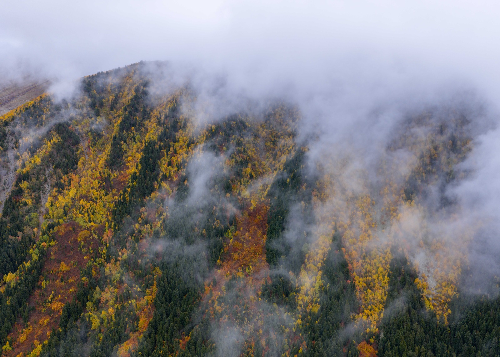 Sonbaharın Tüm Renkleriyle Büyülüyor: “Sakin Şehir” Şavşat'ta Görsel Şölen