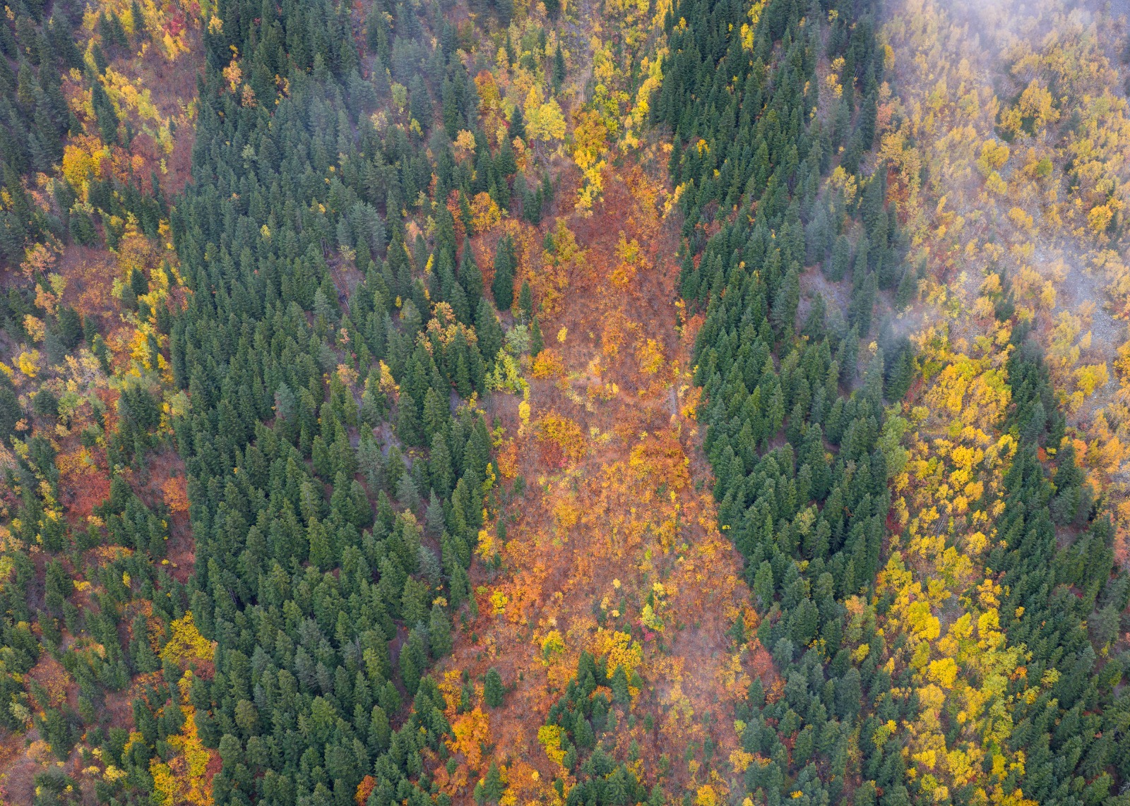 Sonbaharın Tüm Renkleriyle Büyülüyor: “Sakin Şehir” Şavşat'ta Görsel Şölen