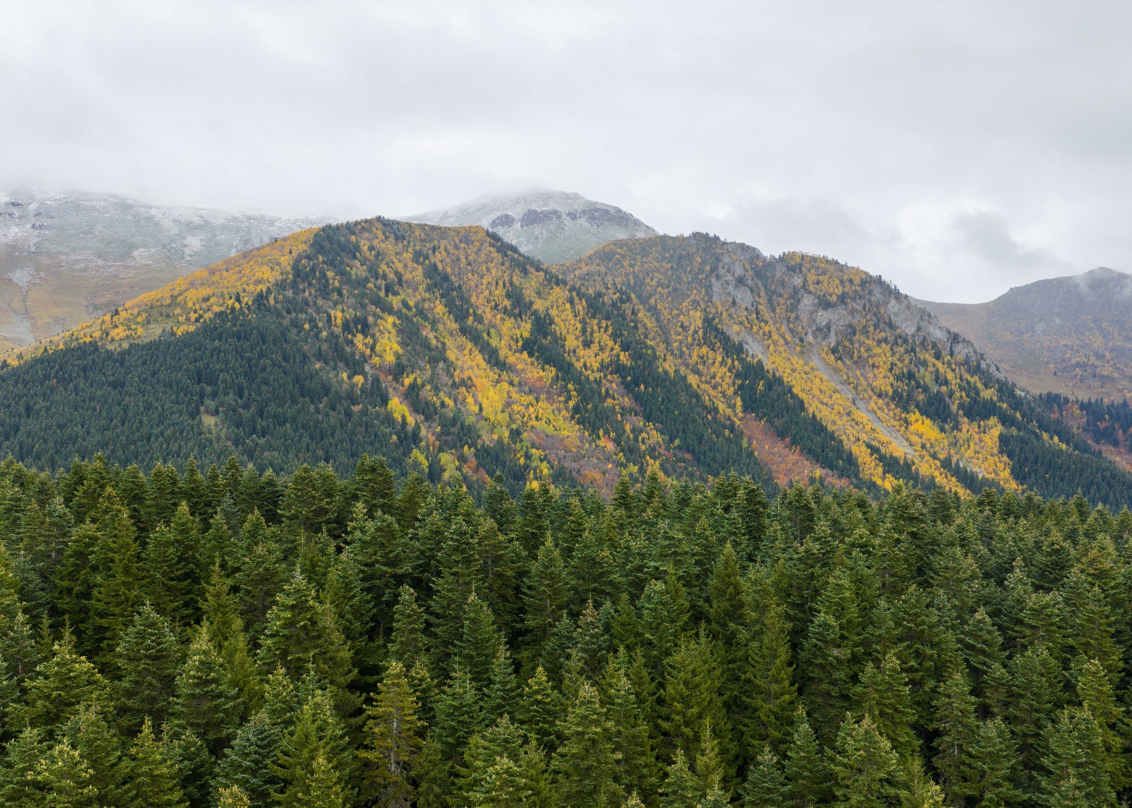 Sonbaharın Tüm Renkleriyle Büyülüyor: “Sakin Şehir” Şavşat'ta Görsel Şölen