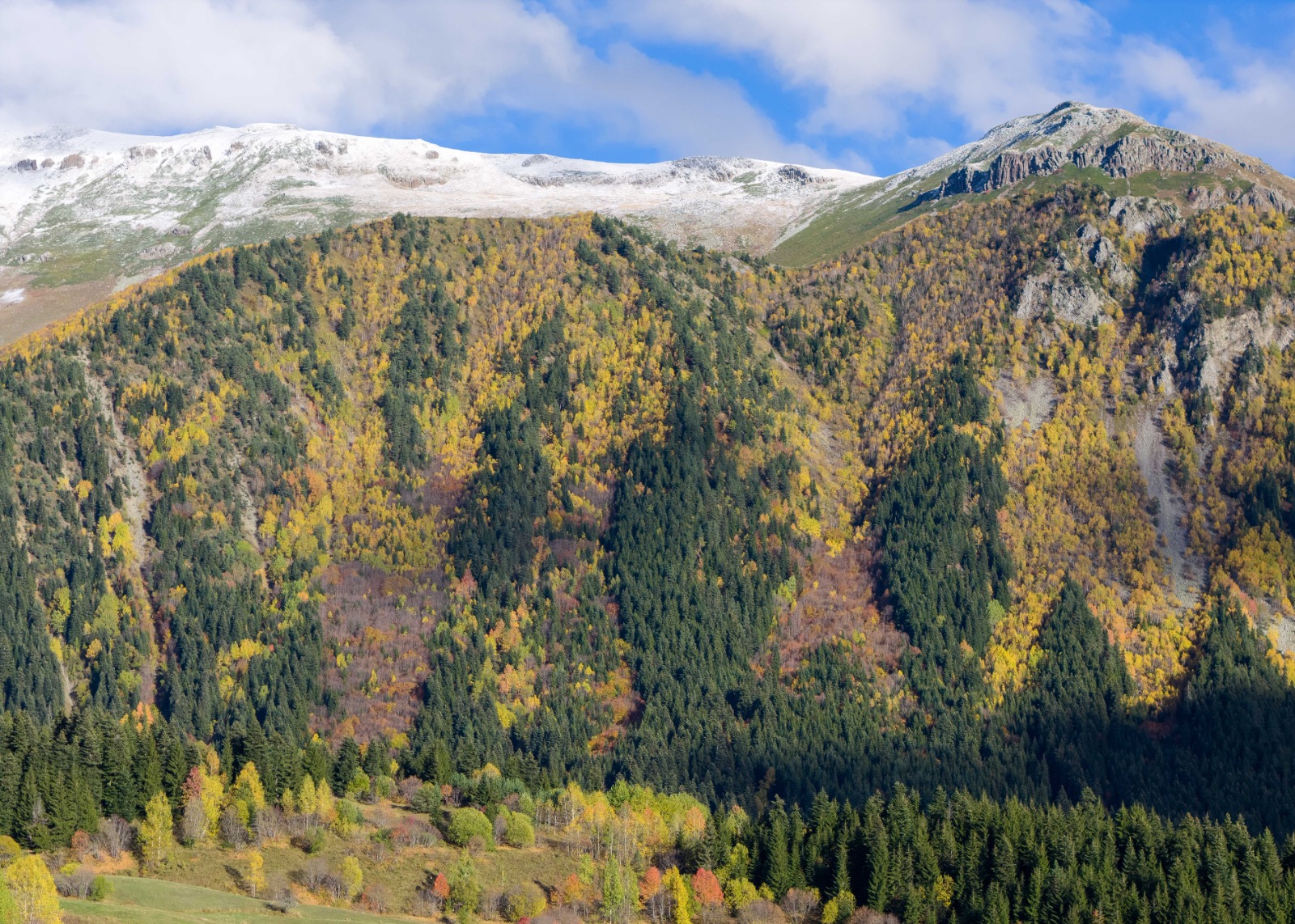 Sonbaharın Tüm Renkleriyle Büyülüyor: “Sakin Şehir” Şavşat'ta Görsel Şölen