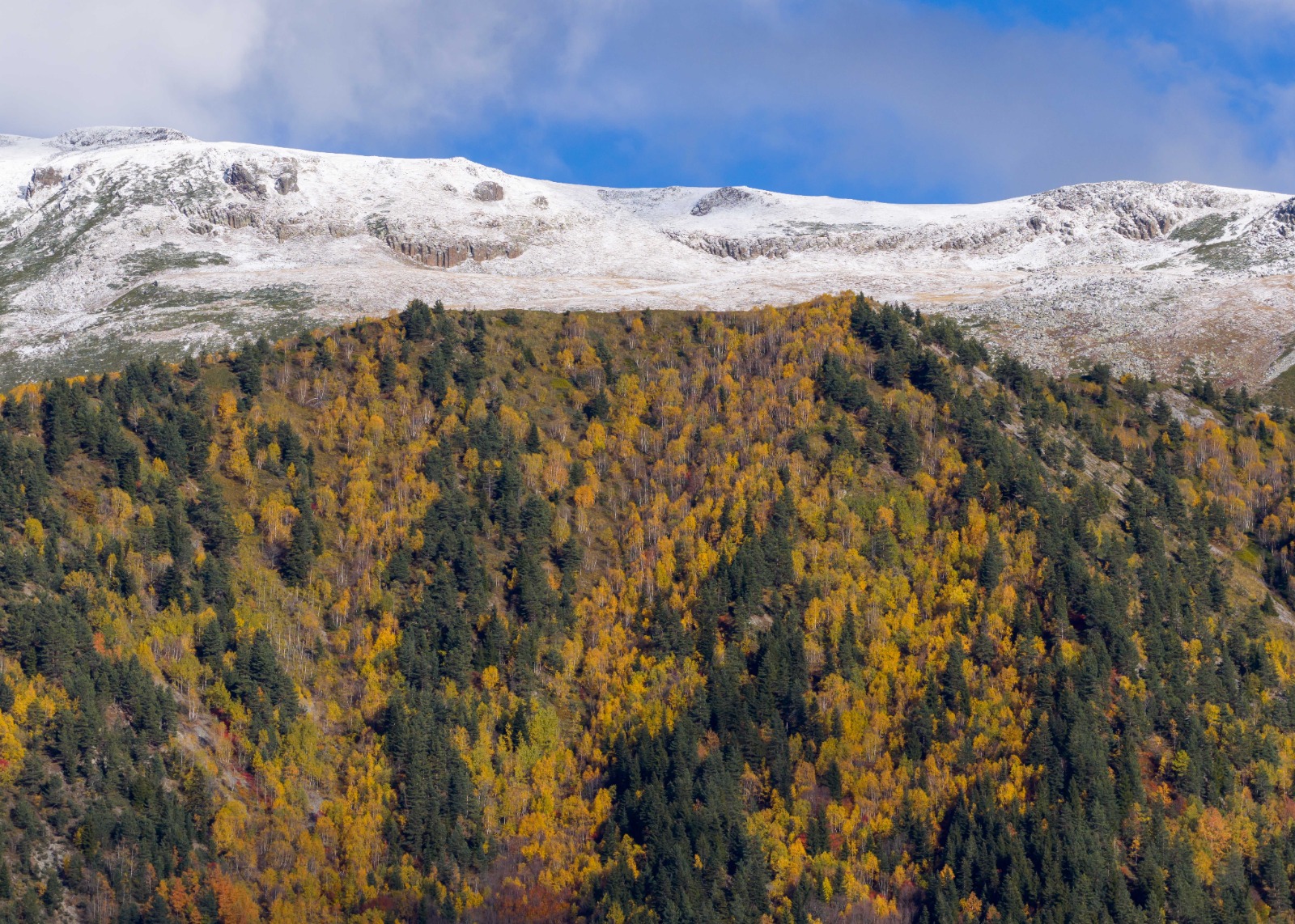 Sonbaharın Tüm Renkleriyle Büyülüyor: “Sakin Şehir” Şavşat'ta Görsel Şölen