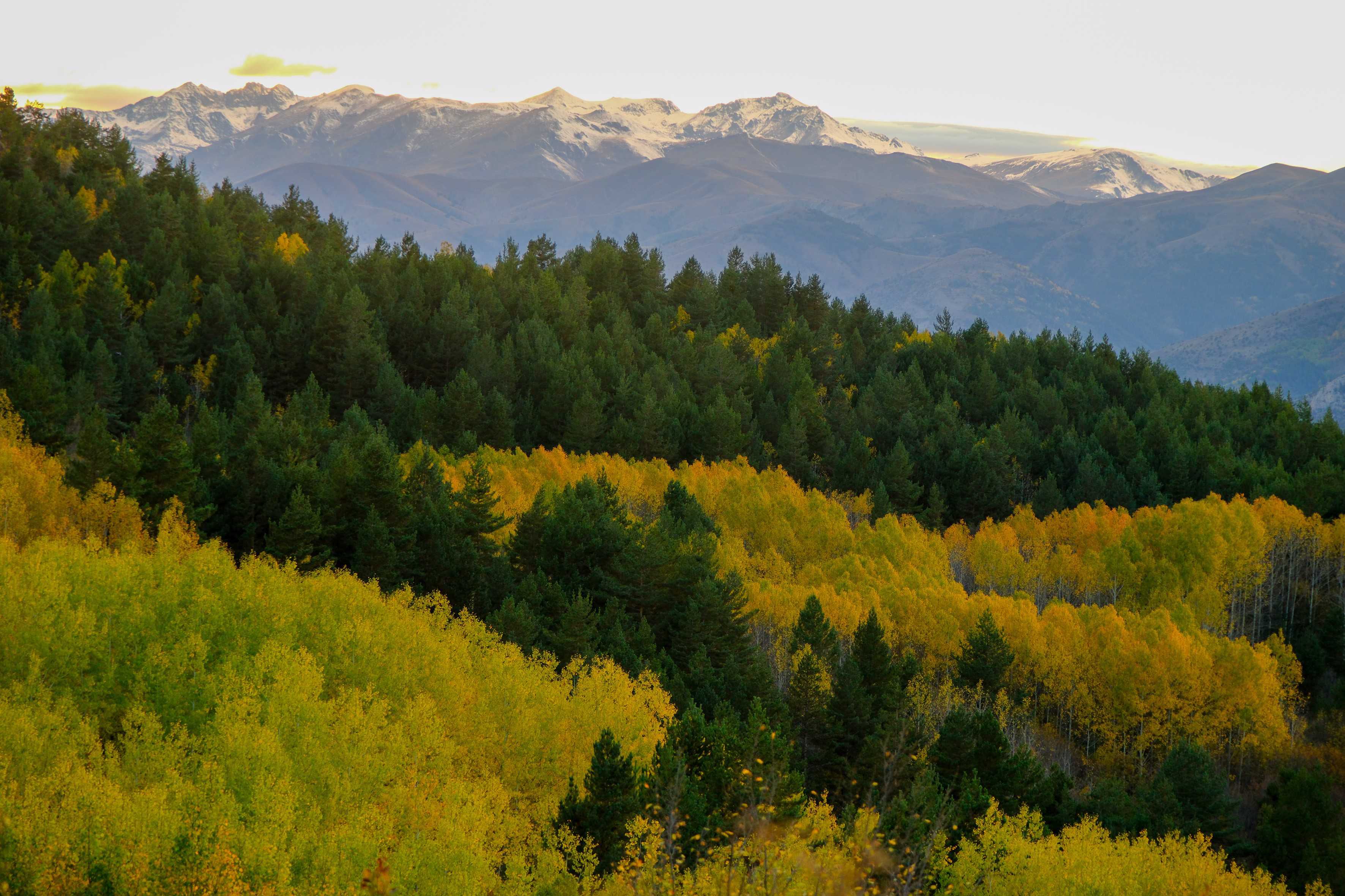 Gümüşhane’de Sonbahar ve Kış Aynı Karede: Alpleri Aratmayan Manzaralar