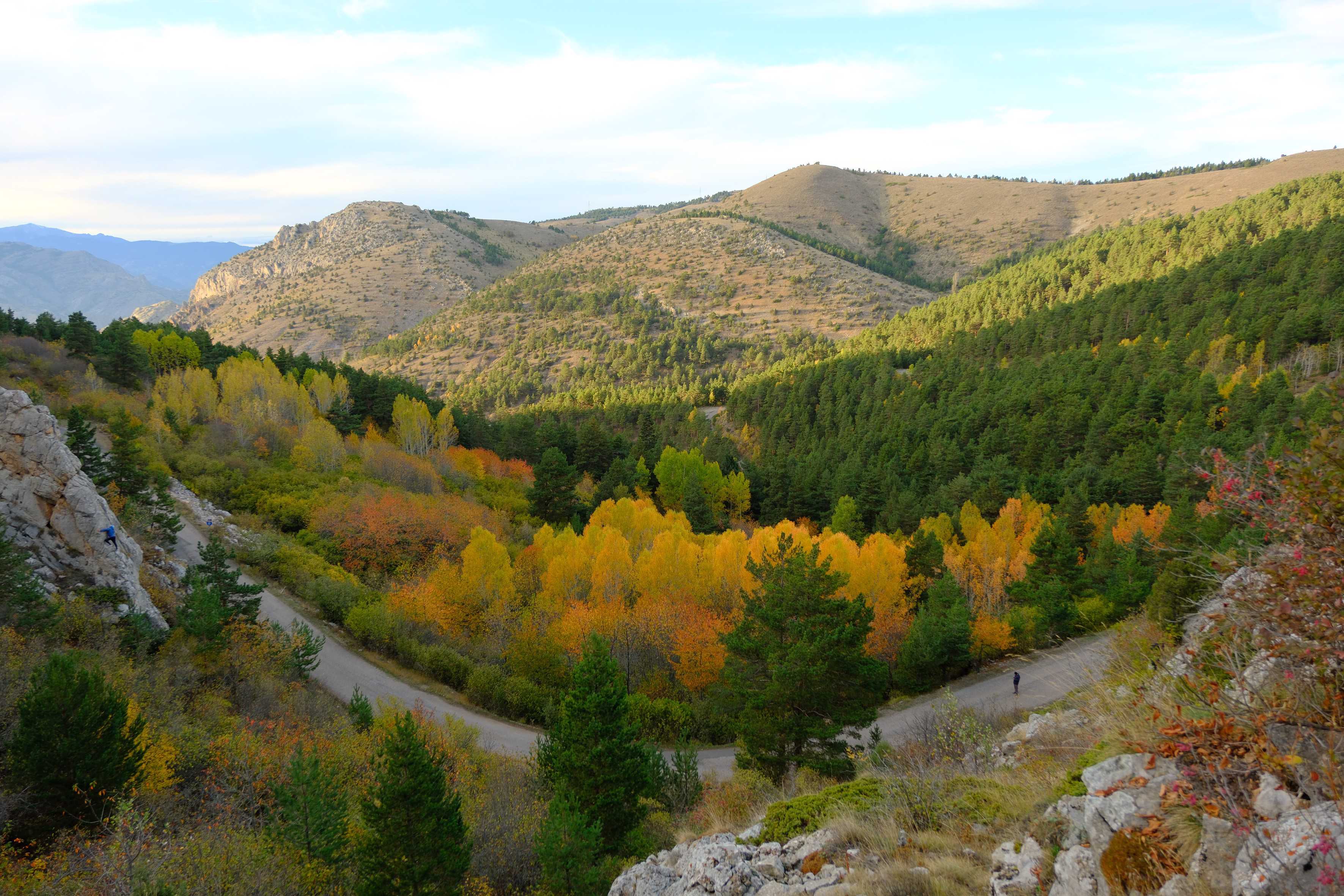 Doğu Karadeniz’in iç kesimlerinde yer alan Gümüşhane, sonbaharın gelişiyle birlikte eşsiz bir renk cümbüşüne sahne oluyor. Zengin bitki örtüsü, dağlık arazisi ve yüksek rakımıyla dikkat çeken kent, her yıl bu mevsimde doğa tutkunları ve fotoğraf sanatçılarının rotasına giriyor.
