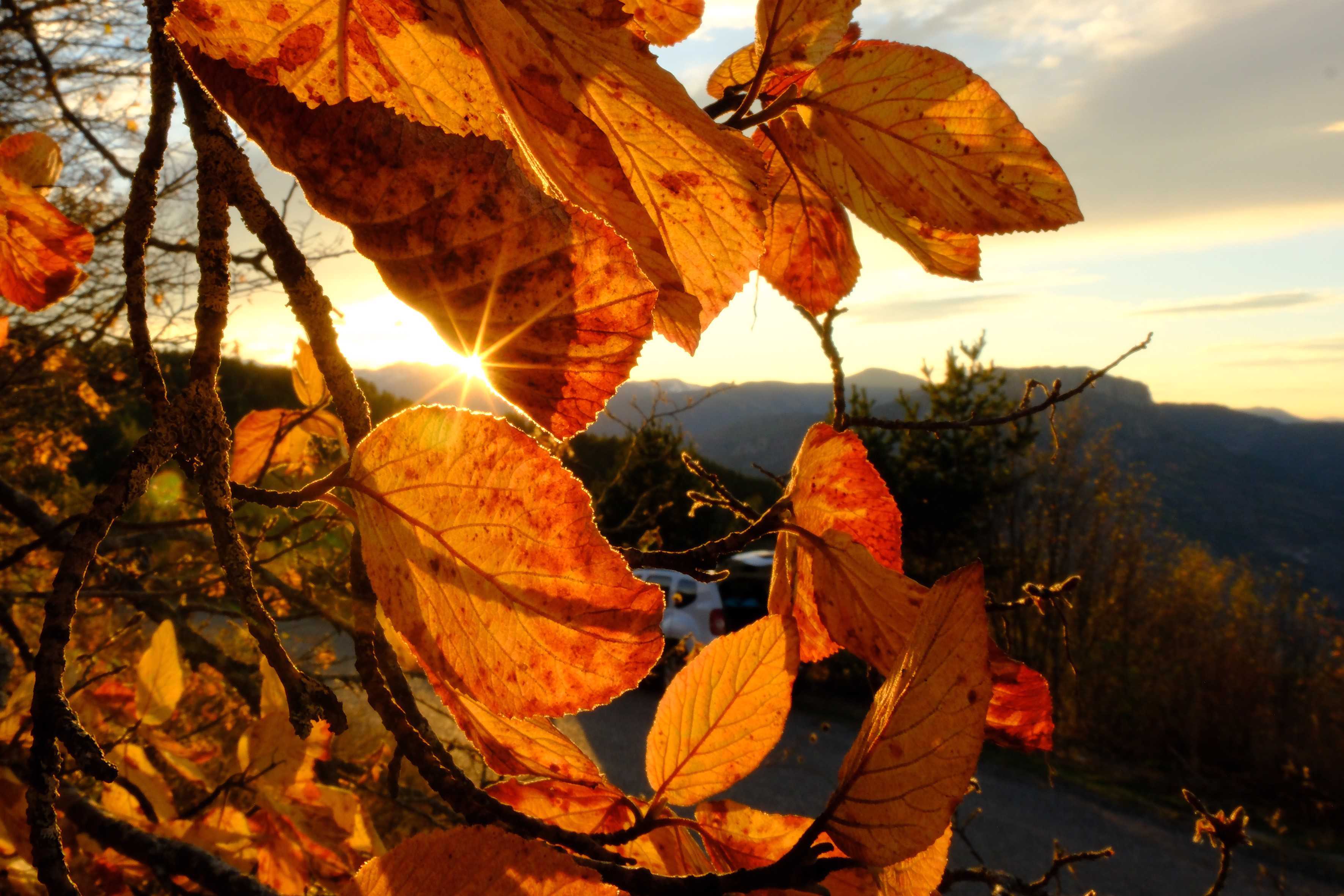 3.300 metreyi aşan zirveleri beyaza bürünmüşken, alçak vadilerde altın sarısı yapraklar hâlâ ağaçlarda… Bu benzersiz kontrast, Gümüşhane’yi Türkiye’nin sonbaharda en çok öne çıkan doğa destinasyonlarından biri haline getiriyor.