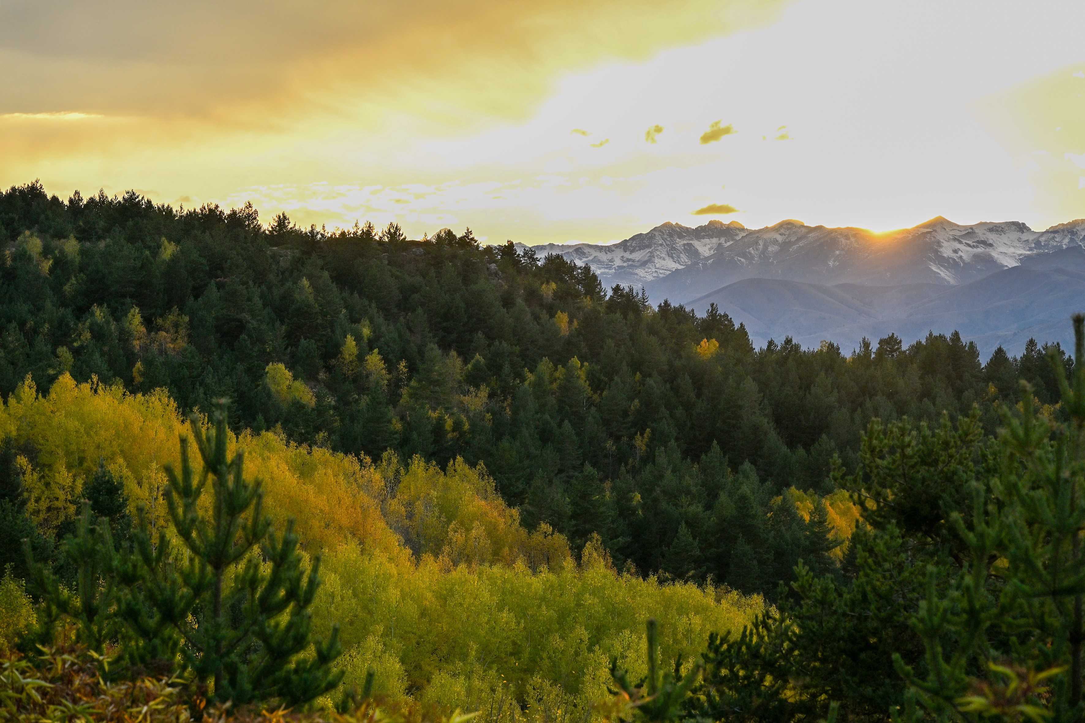Bölge, yalnızca doğa yürüyüşü ve fotoğraf çekimi için değil, aynı zamanda sessizlik ve sakinlik arayanlar için de cazip bir kaçış noktası.