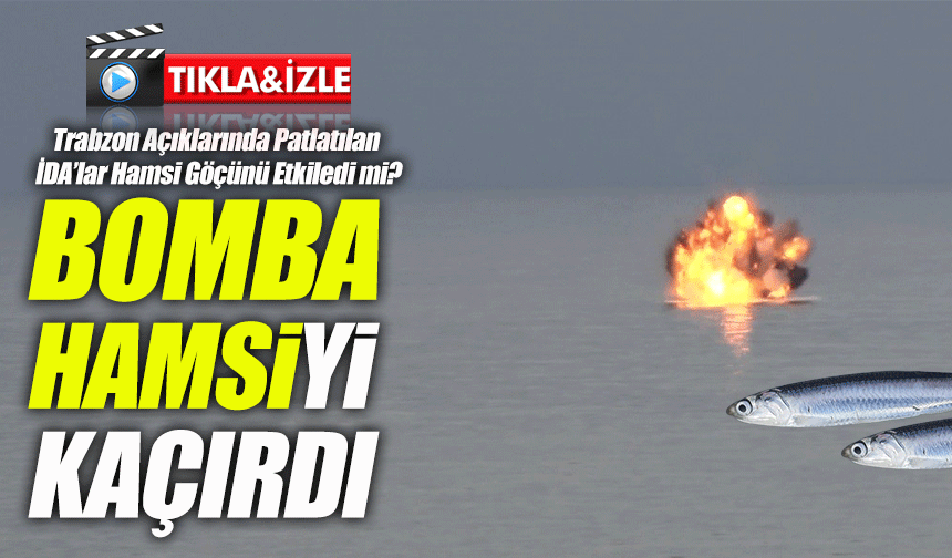 Trabzon Açıklarında Patlatılan İDA’lar Hamsi Göçünü Etkiledi mi? Hamsi Fiyatları Ne Durumda?