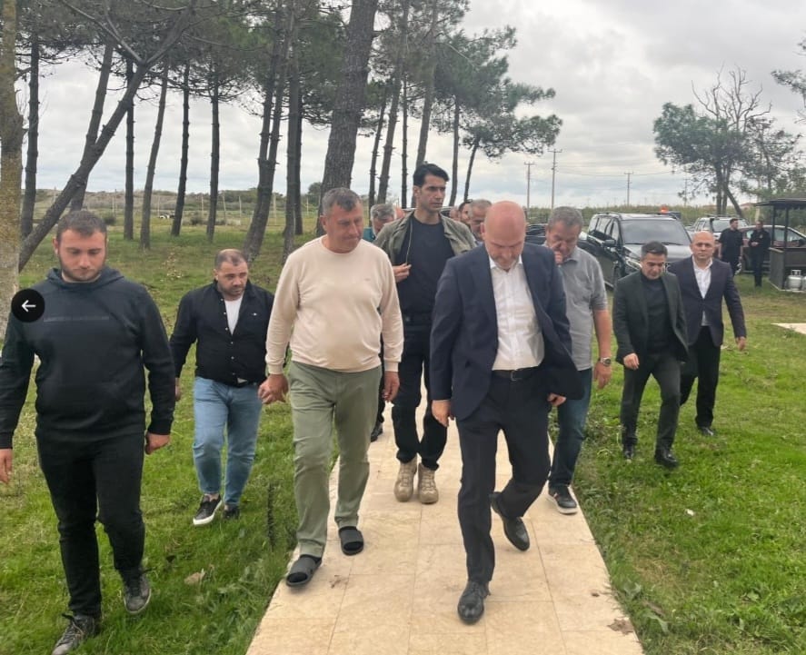 Soylu 1-3