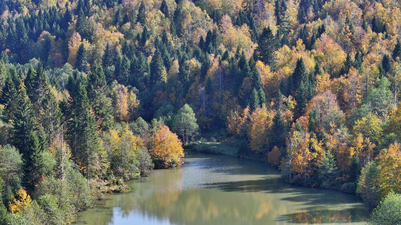 Her mevsim farklı bir yüzüyle doğa tutkunlarının ilgisini çeken yayla, özellikle sonbaharın renk cümbüşüyle bölge halkının ve şehir dışından gelen turistlerin uğrak noktalarından biri haline geldi.