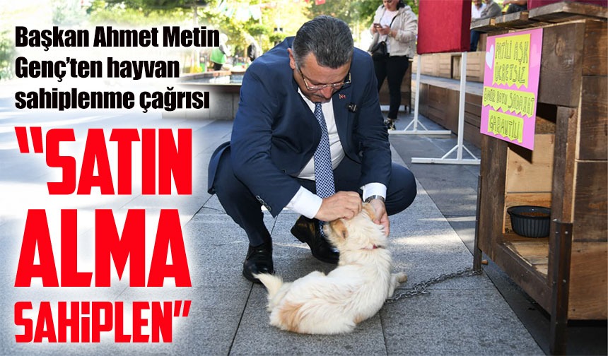 Başkan Ahmet Metin Genç’ten hayvan sahiplenme çağrısı: “Satın alma, sahiplen”