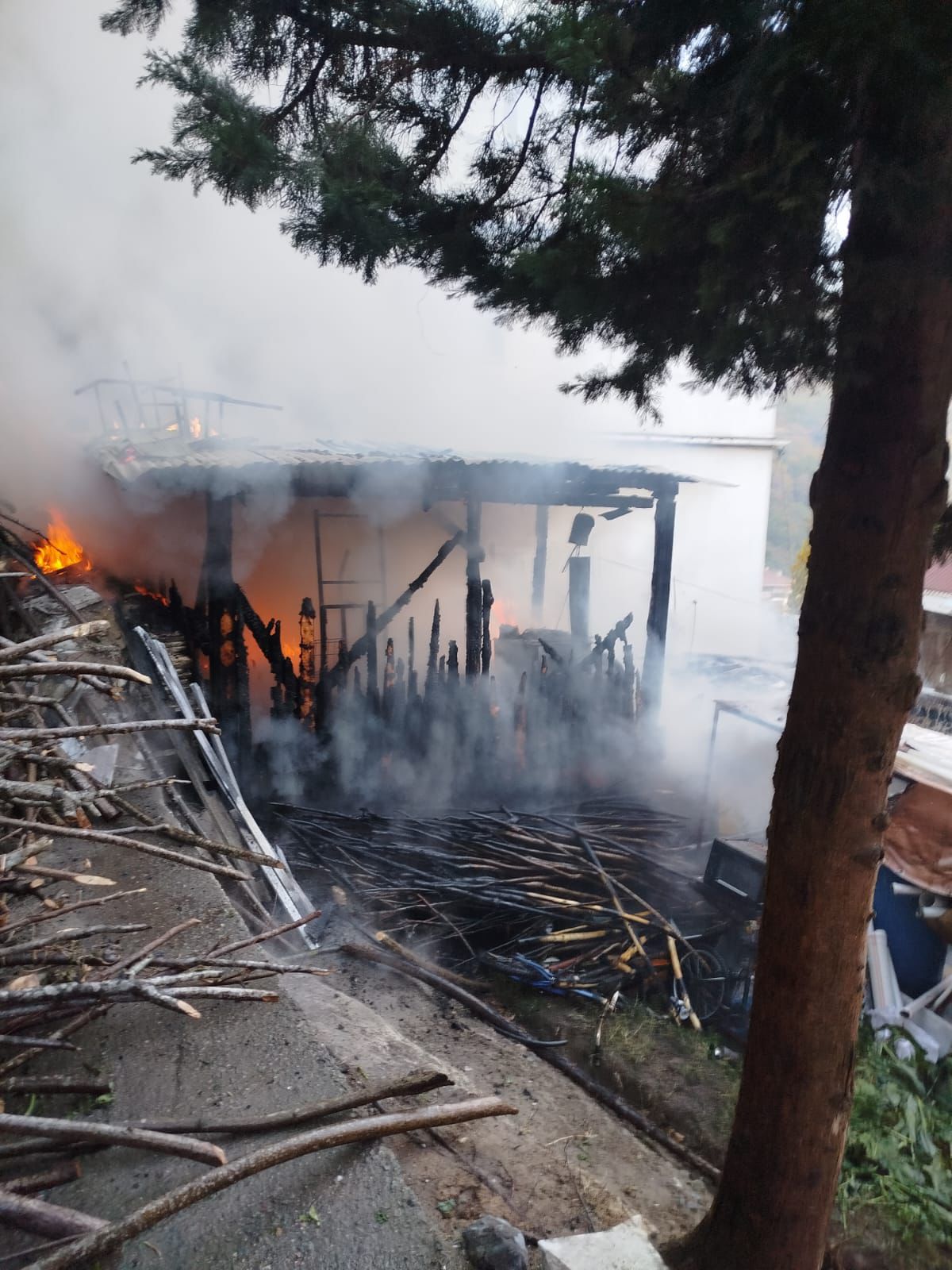 A A 20251128 39838325 39838324 T R A B Z O N D A E V D E C I K A N Y A N G I N S O N D U R U L D U