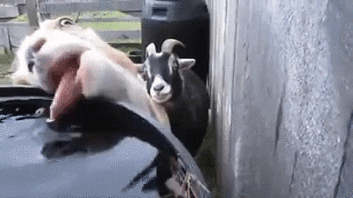 Su diyeti nedir, nasıl yapılır? Faydaları ve sağlık üzerindeki etkileri