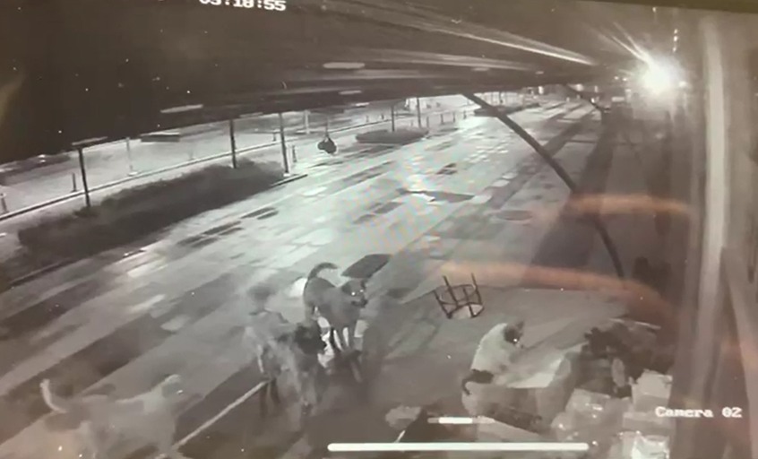 Whatsapp Image 2025 11 16 At 14.26.31 (1)