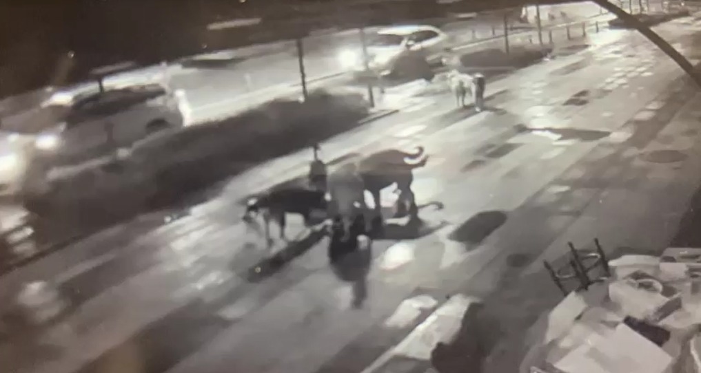 Whatsapp Image 2025 11 16 At 14.26.31 (3)